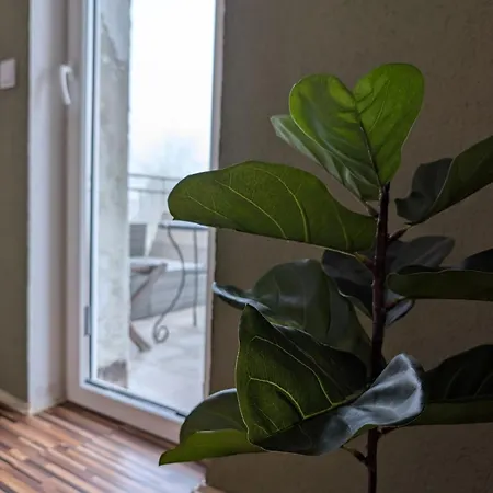 Apartmán Maisonettewohnung Am Badesee Bei Kassel *